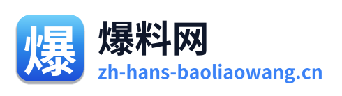 爆料网 Logo